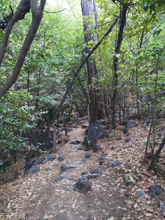 Watch our Nimara Mağarası review