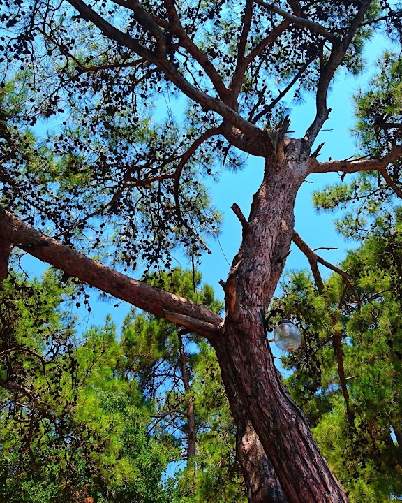 Watch our Çubucak Nature Park review