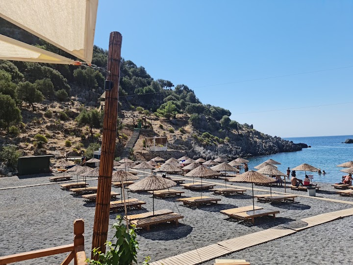 Watch our Aşı Koyu review