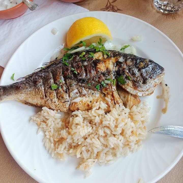 Watch our Συκοφιλος φαγαδικο - Sikofilos meze place review