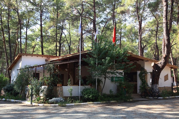 Watch our Aktur Camping review