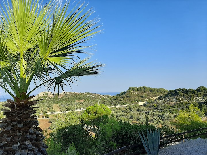 Watch our Mimakos Taverna- nunta Vula review