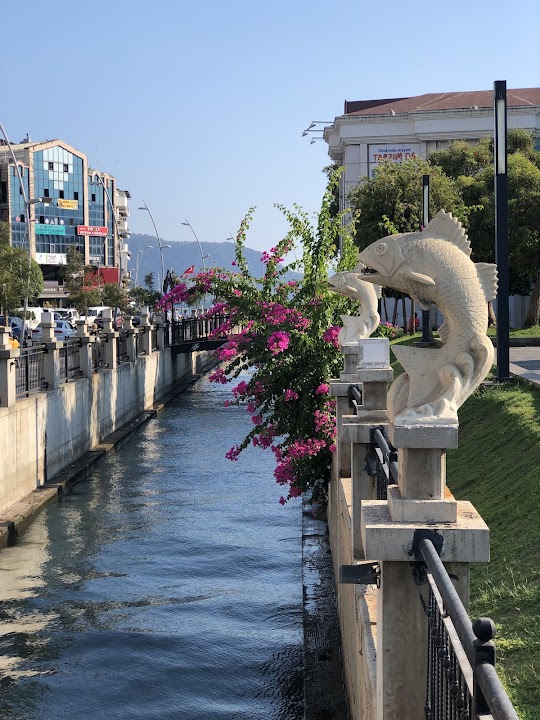 Watch our Dancing Fountain review