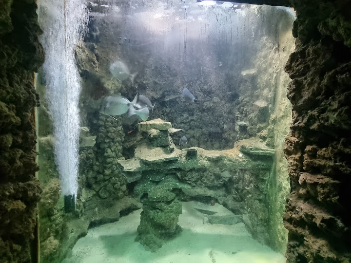 Watch our Aquarium of Rhodes - Hydrobiological Station HCMR review