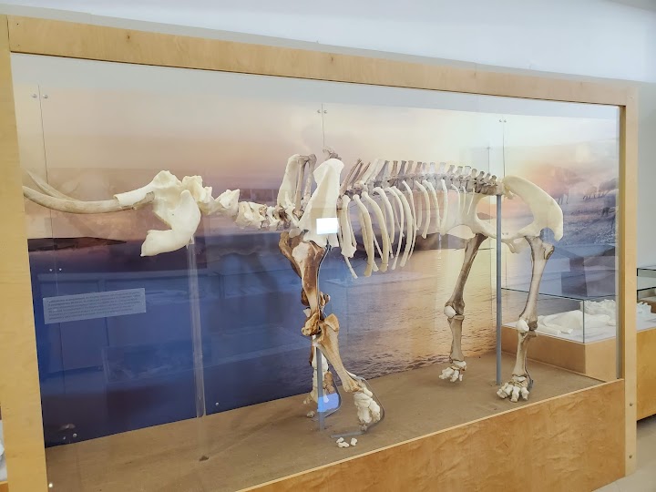 Watch our Μουσείο Ελεφάντων review