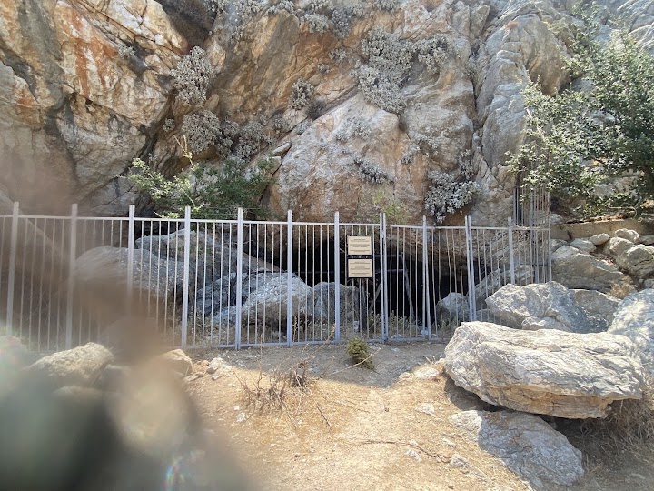 Watch our Μουσείο Ελεφάντων review