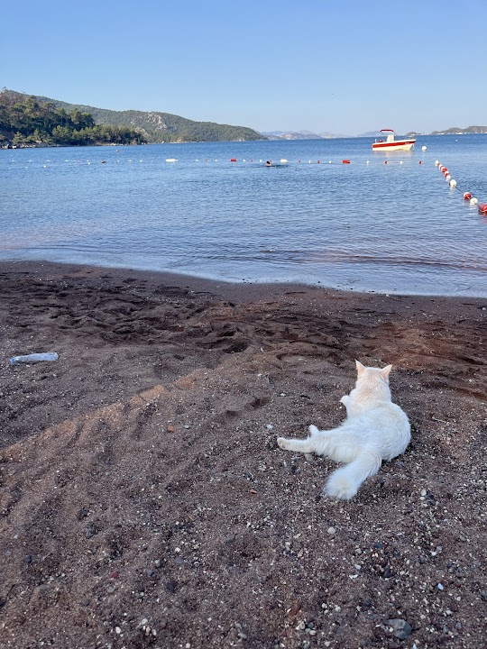 Watch our EVCAN CAMPING review