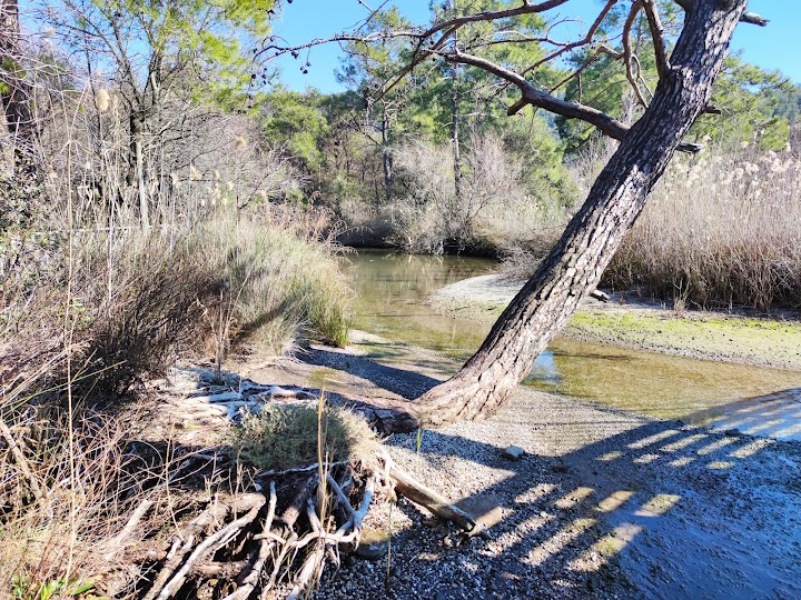 Watch our Günnücek (Marmaris National Park) review