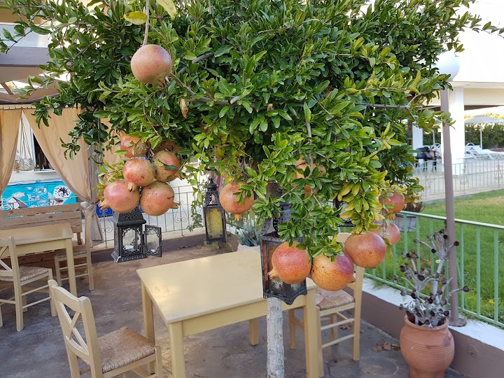 Watch our George Cars Rent a Car Rhodes - Lardos - Lindos review