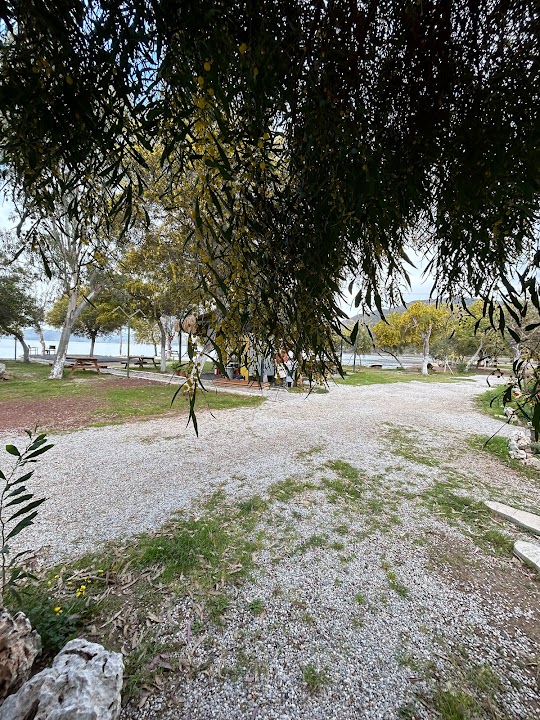 Watch our Çatlak Beach & Camping review