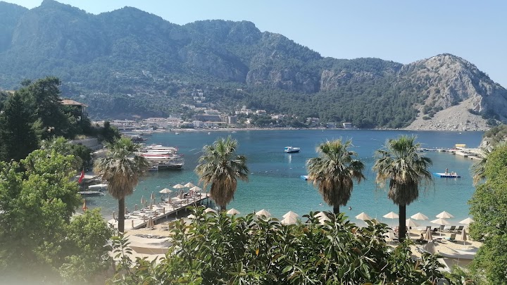 Watch our turunç koyu review