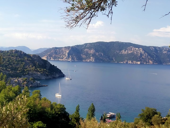 Watch our turunç koyu review