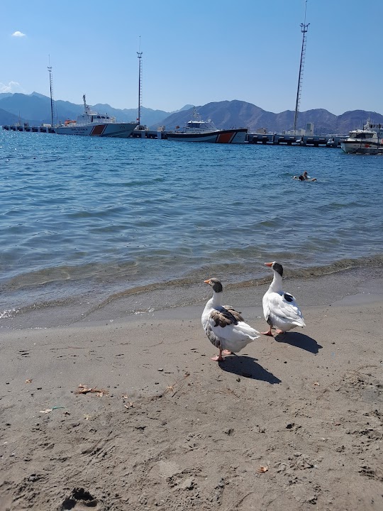 Watch our Marmaris Burunucu Macera Parkı review